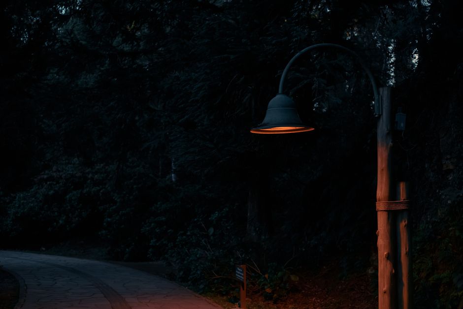 De Oeverlanden wooded path at dusk, Amsterdam — amsterdam cruising safety oeverlanden 2026 context