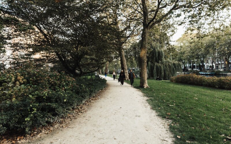 Amsterdam nature park on a summer afternoon, golden light through the trees, cruising seasonal guide