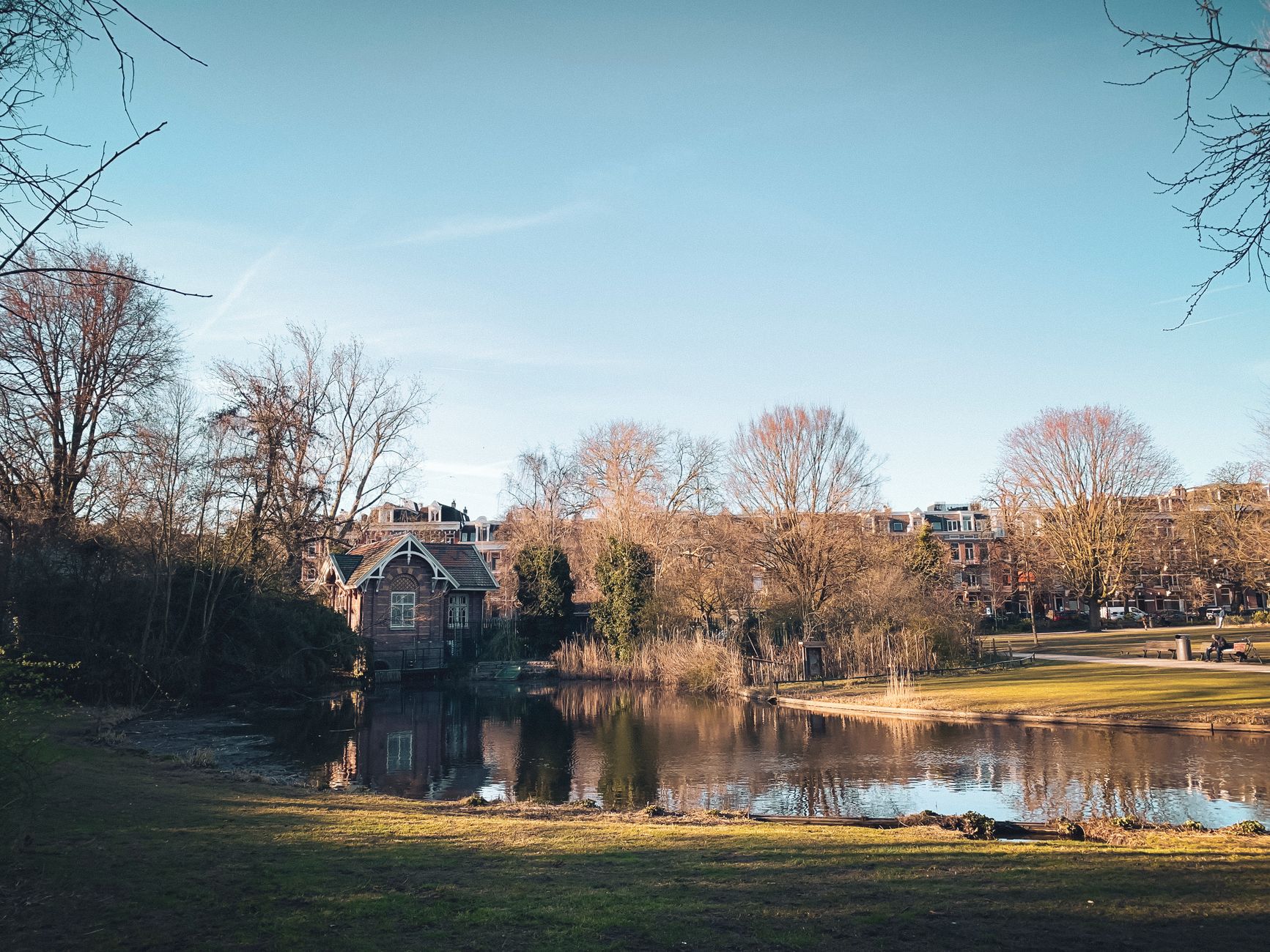 Tranquil park and pond in Amsterdam, lush green trees reflecting in still water on a calm day