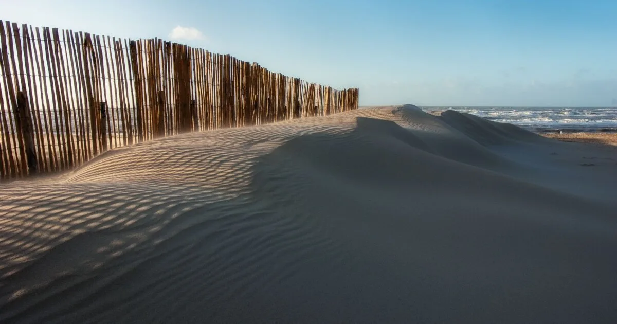 Sand dunes with wooden fence at Zandvoort beach, Netherlands, with the North Sea in the background