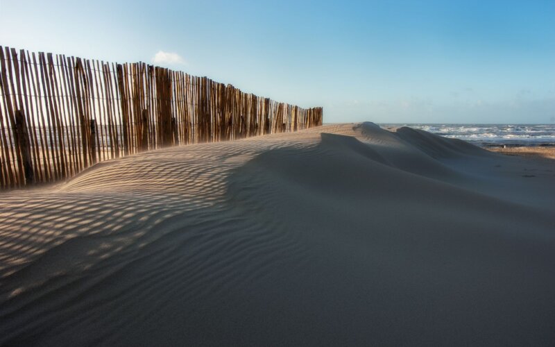 Sand dunes with wooden fence at Zandvoort beach, Netherlands, with the North Sea in the background