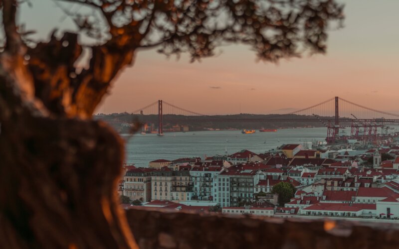 Gay Lisbon: The Complete Travel Guide for 2026