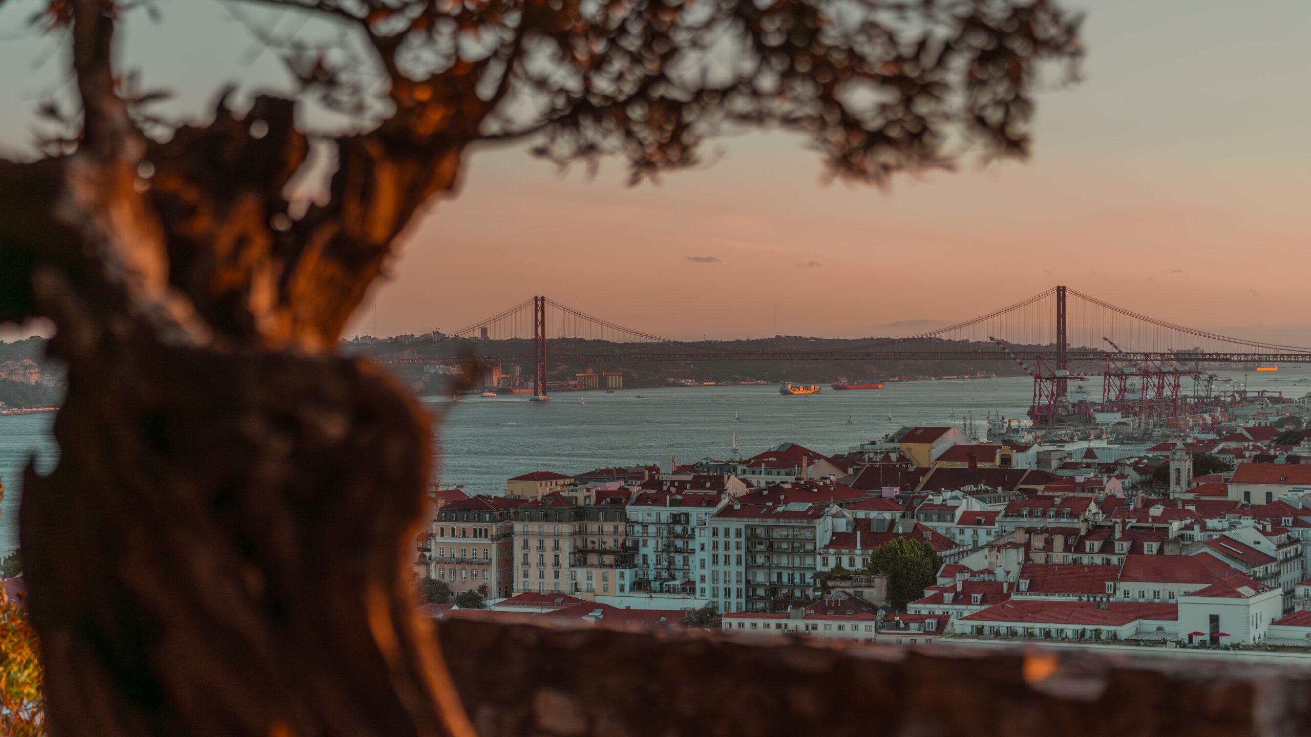 Gay Lisbon: The Complete Travel Guide for 2026