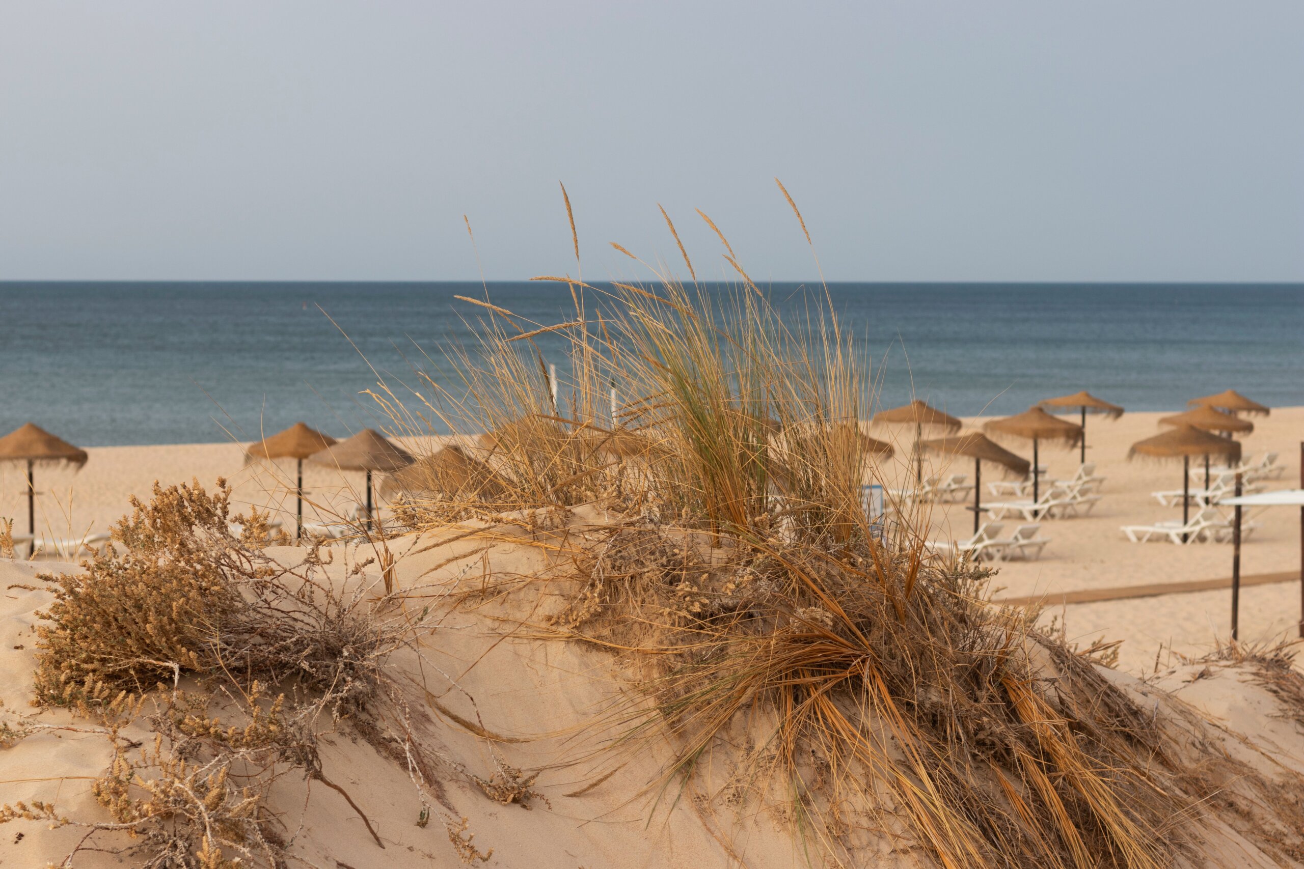 Sunny beach scene with straw parasols and sandy dunes near Lisbon Portugal