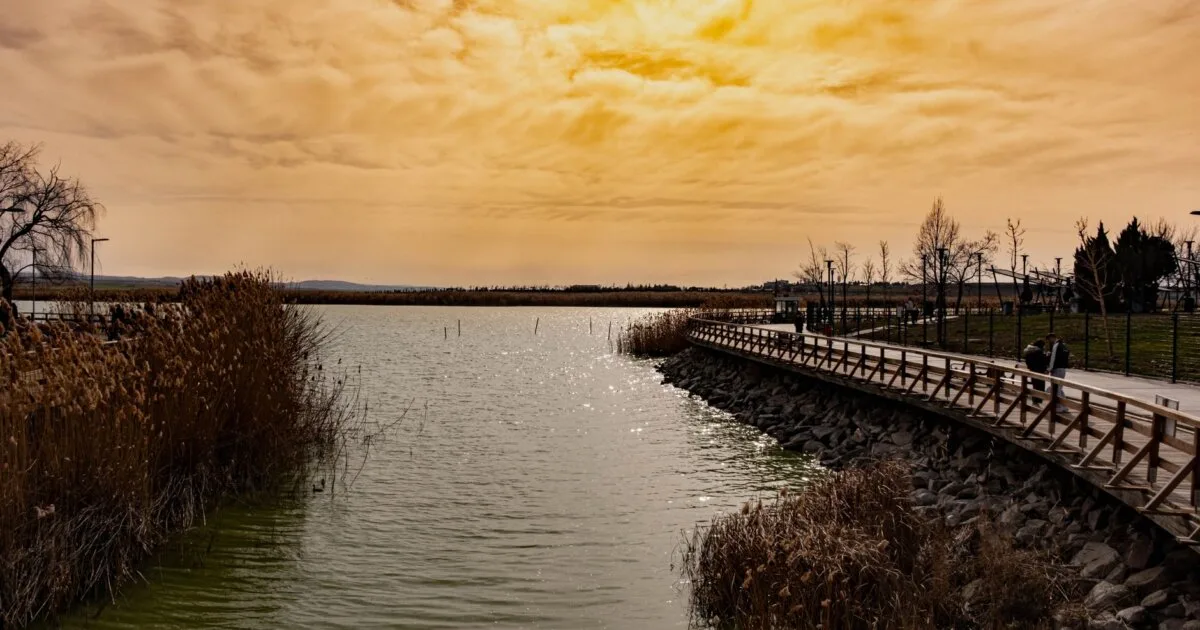 Scenic lake path in Amsterdam, golden sunset reflecting on water through reeds