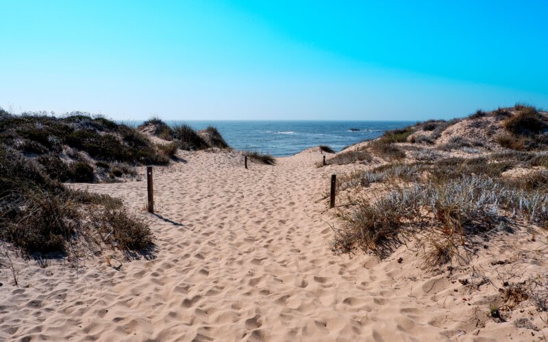Pathway through sand dunes to the Atlantic Ocean in Portugal, Beach 19 Costa da Caparica Lisbon