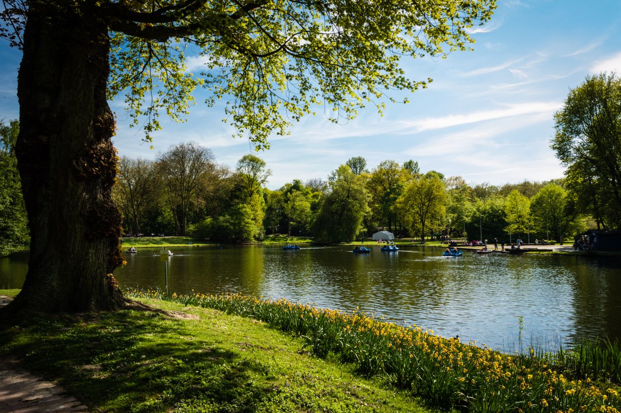 Cruising Vondelpark: What The Gays Need To Know