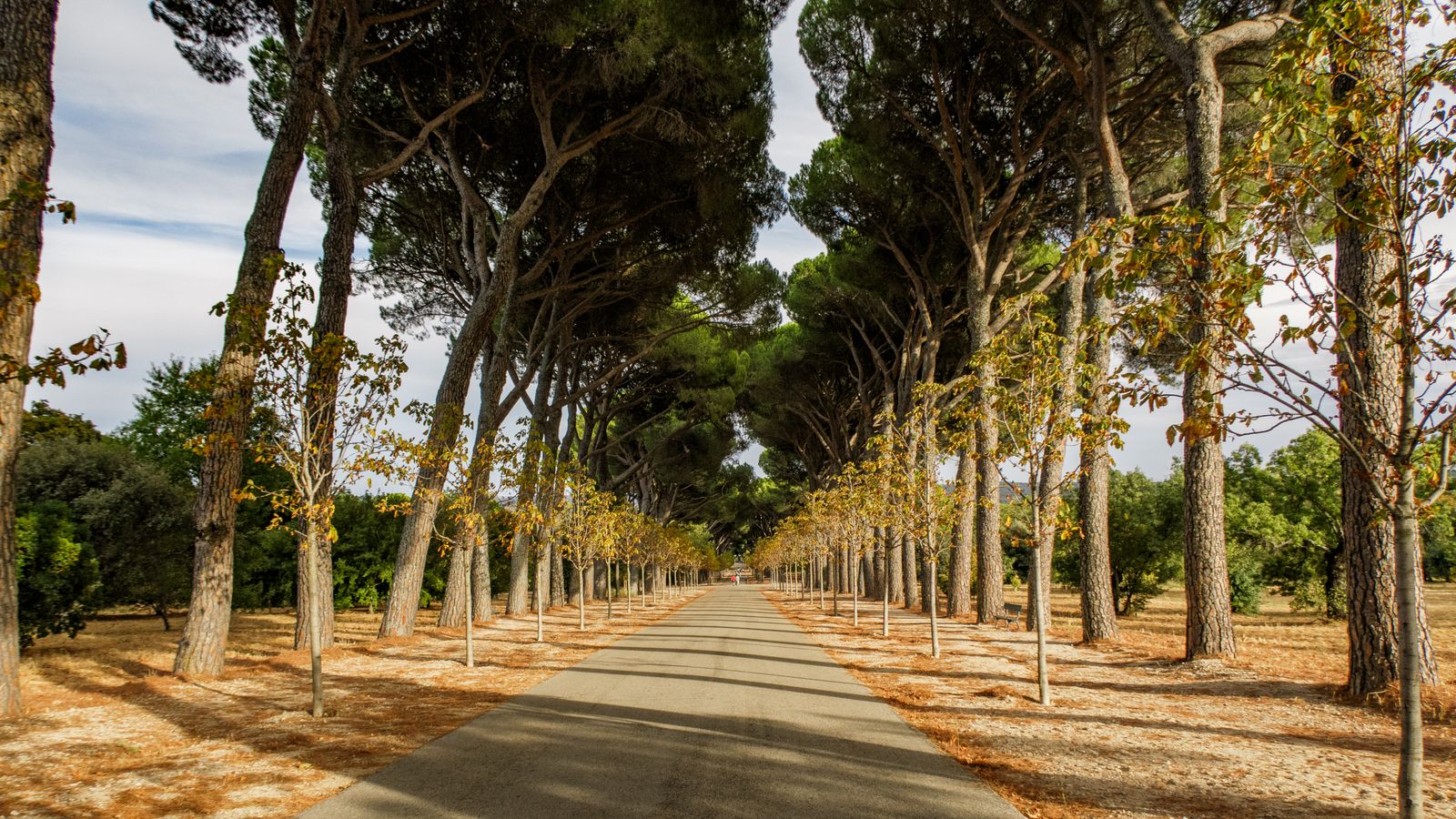 Retiro Cruising: How Madrid’s Park Scene Works